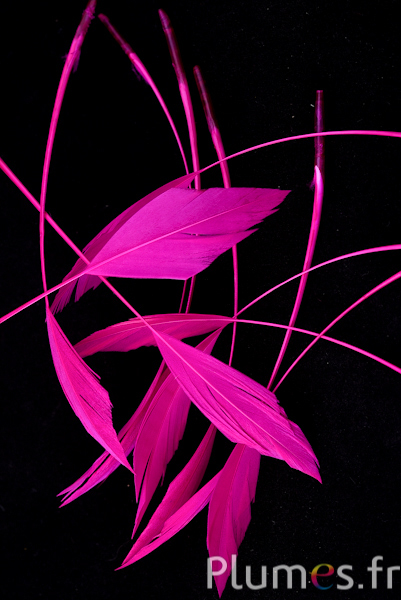 Oie flèche - 10-15 cm - fuchsia